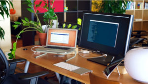 Çalışma masanızda bitki yetiştirin.