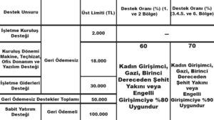 Girişimcilik Destek Programı 2017