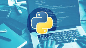 Python Nedir?