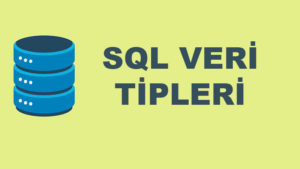 Microsoft SQL Veri Tipleri ve Özellikleri Nelerdir?